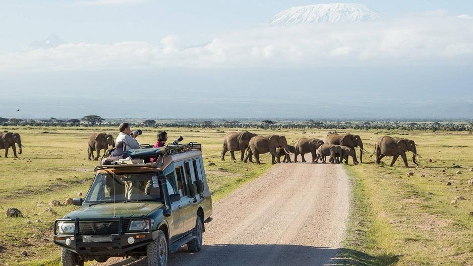 Kenyandayamboselisafaritourelephantskilimanjaro